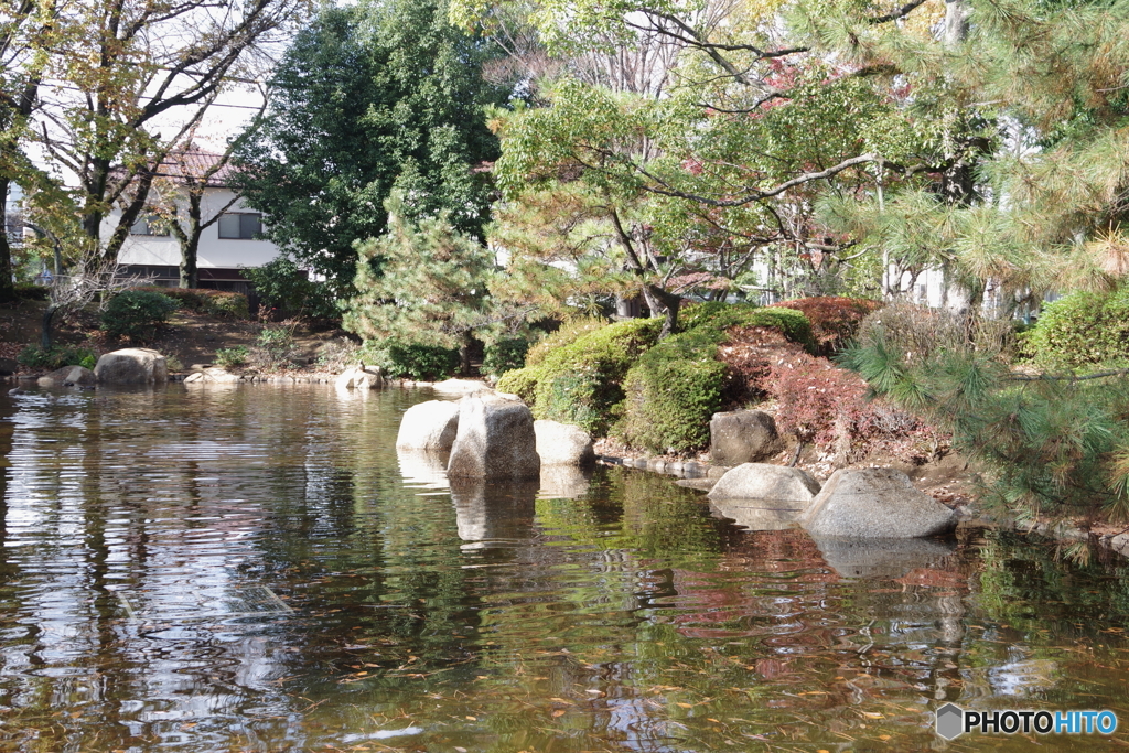 紅葉の府中公園噴水池