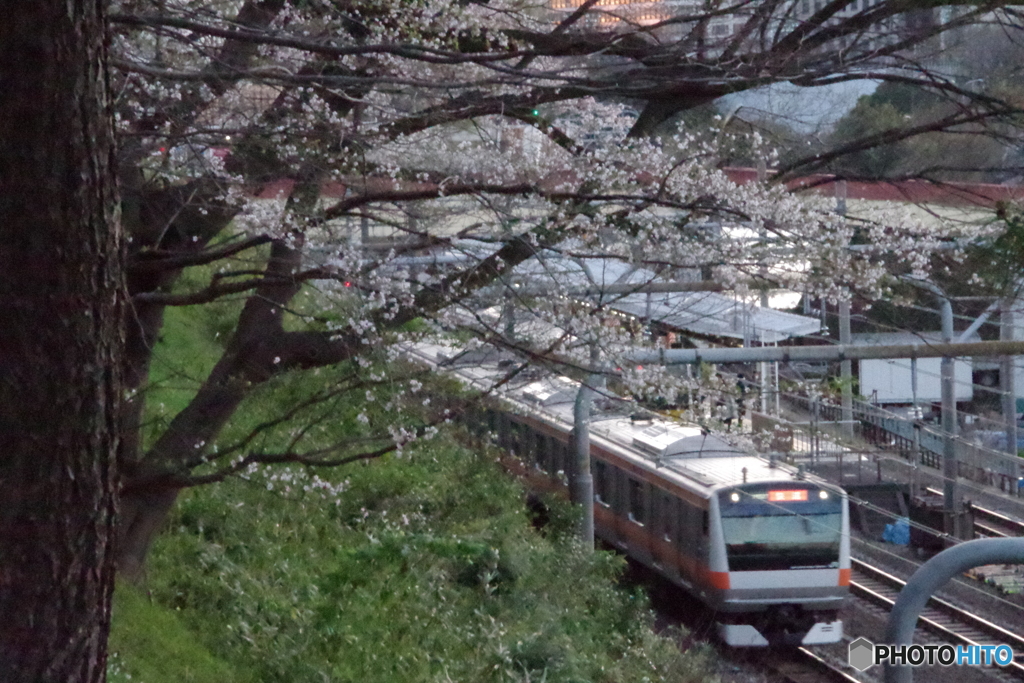 さくらの市ヶ谷駅２