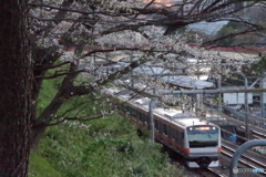 さくらの市ヶ谷駅２