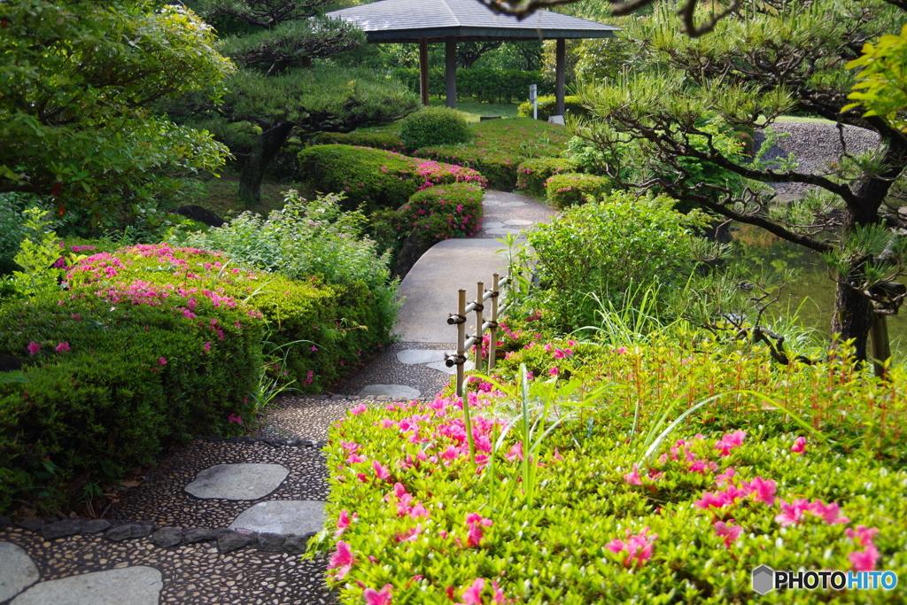 ツツジの日本庭園5