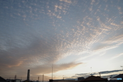 巻積雲1