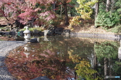 紅葉の日本庭園２