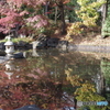 紅葉の日本庭園２
