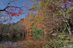 紅葉の三宝池