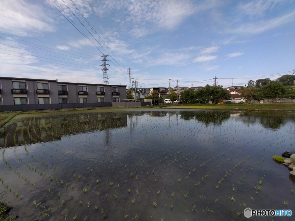 水田と雲3