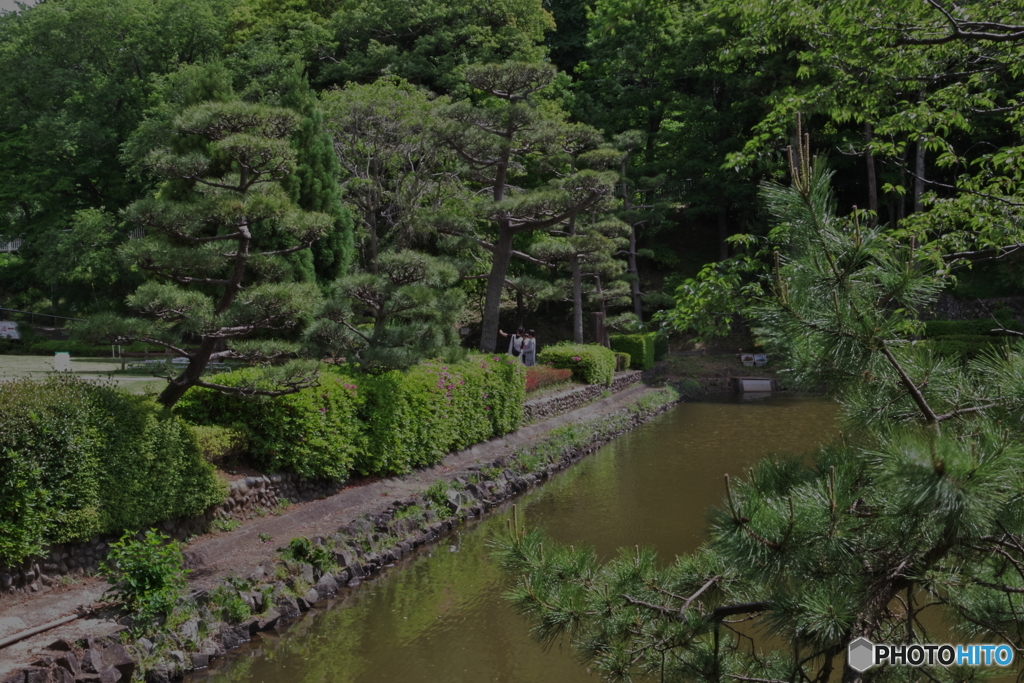 新緑の薬師池公園5