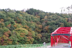 紅葉と峰谷橋
