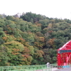 紅葉と峰谷橋