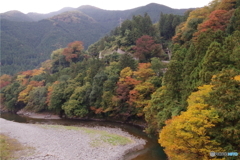 日原川の紅葉