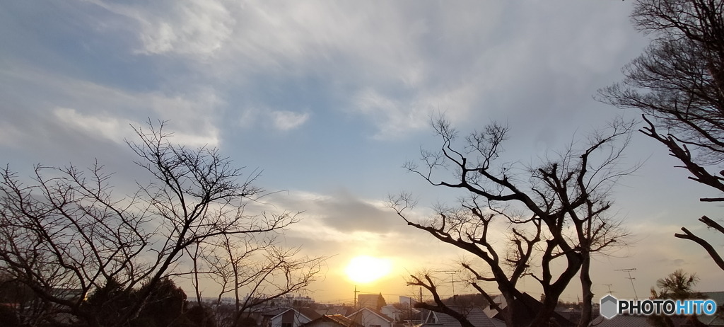 雲と枯木と夕日3 