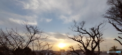 雲と枯木と夕日3 