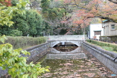 江戸東京たてもの園　池3