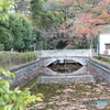 江戸東京たてもの園　池3