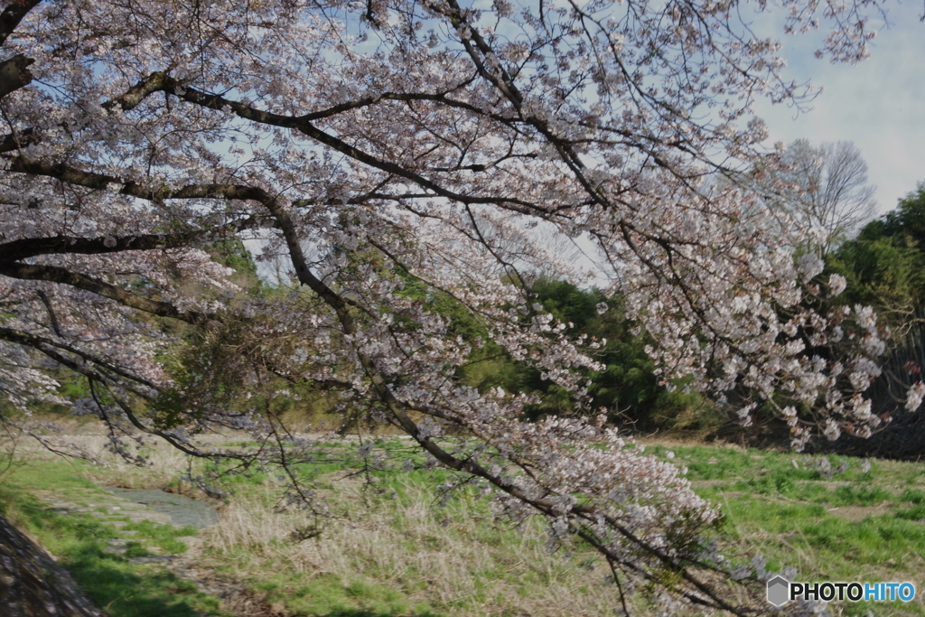 塩田耕地堤3