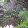 紅葉のふたつ池