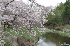 塩田耕地堤1