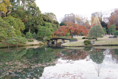 六義園 池１