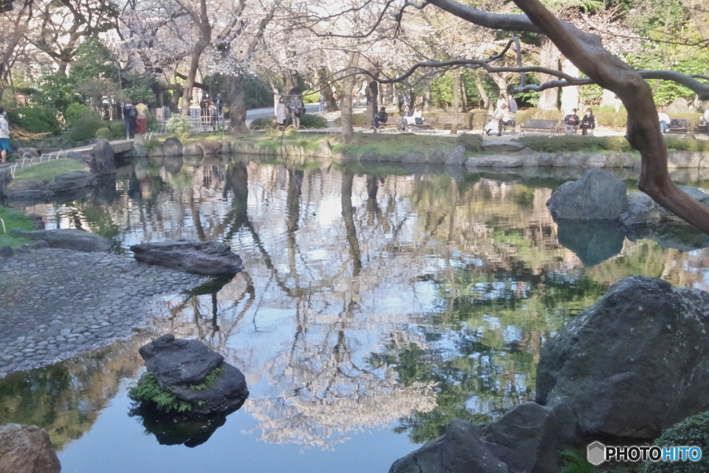 靖国神社 神池庭園1