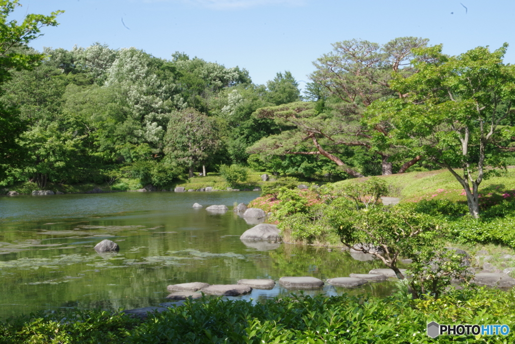 新緑の日本庭園