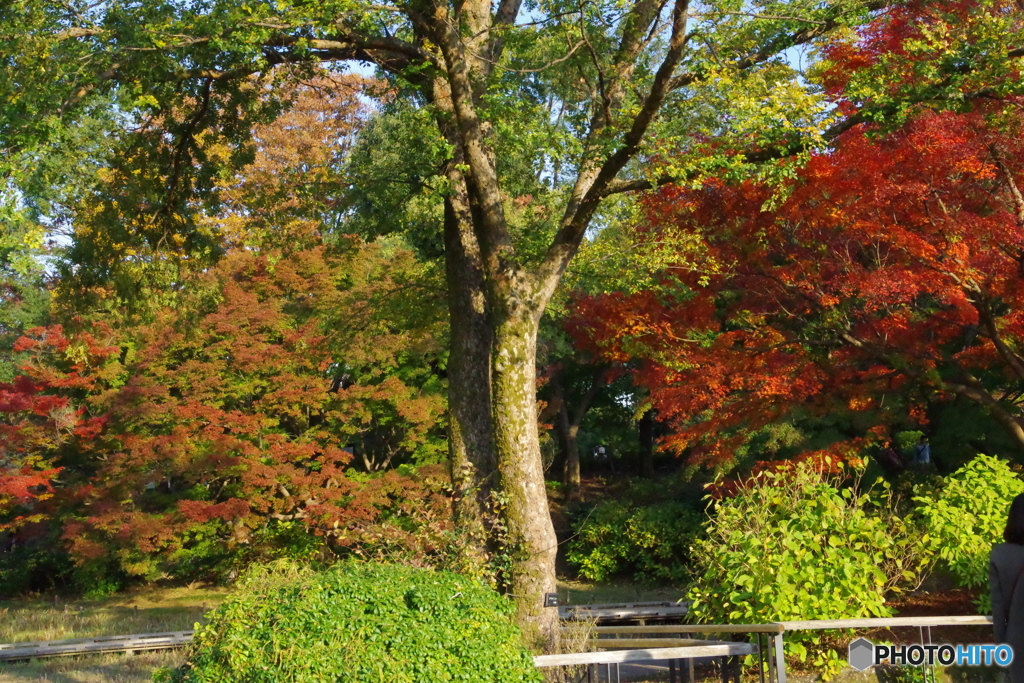 花木園