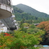 奥多摩大橋と紅葉2