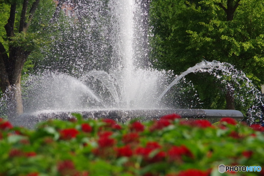 瞬美な噴水公園1 