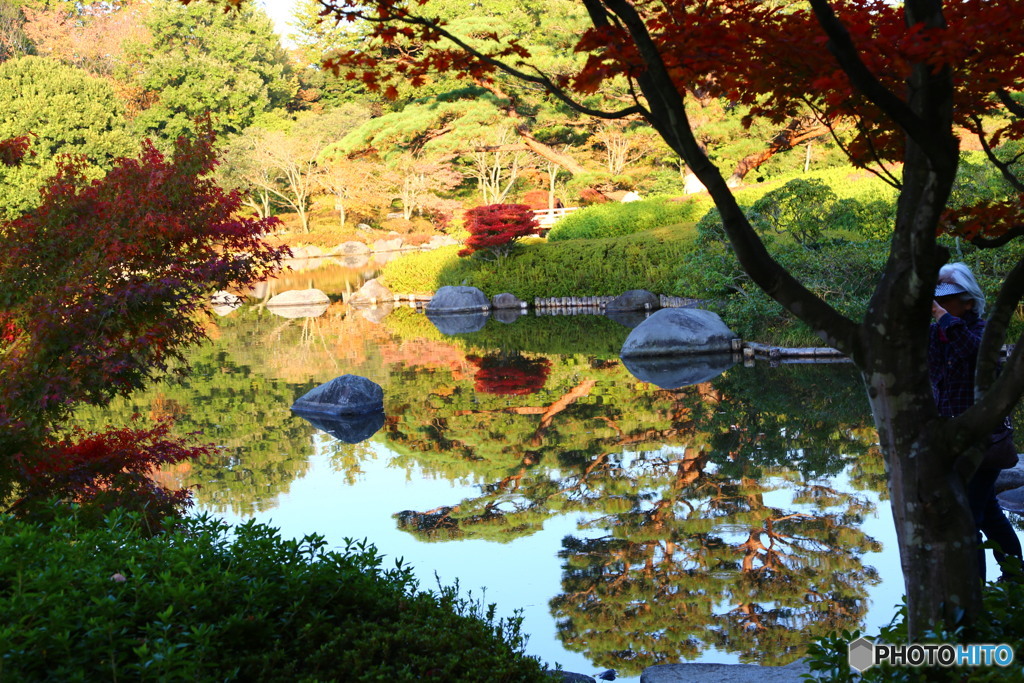 日本庭園３