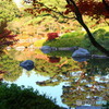 日本庭園３