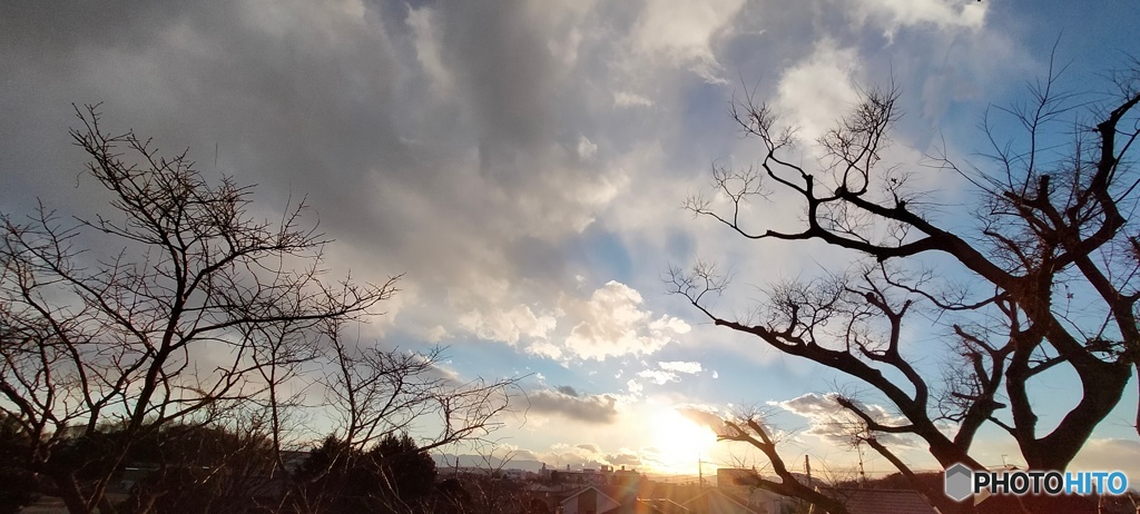 雲と枯木と夕日