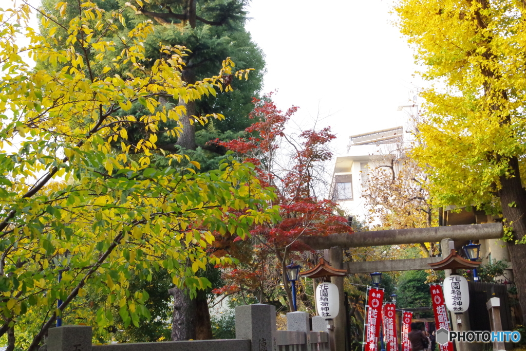 花園稲荷神社と紅葉