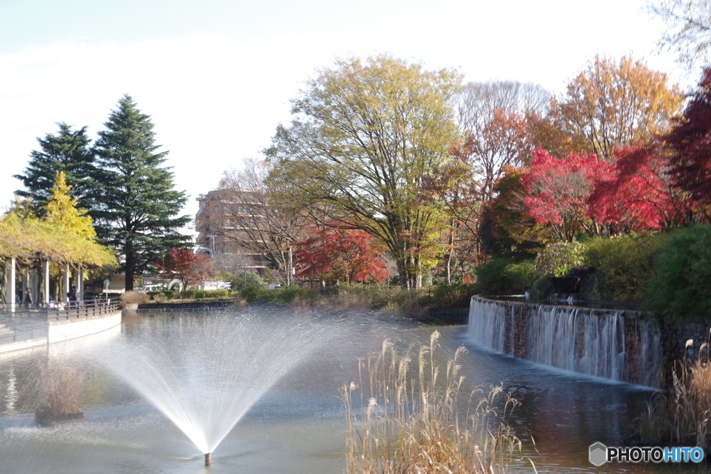 武蔵池の噴水と紅葉
