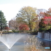 武蔵池の噴水と紅葉
