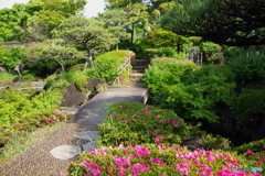 ツツジの日本庭園7