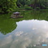 池の中の雲と新緑