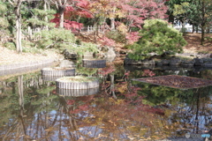 紅葉の日本庭園１