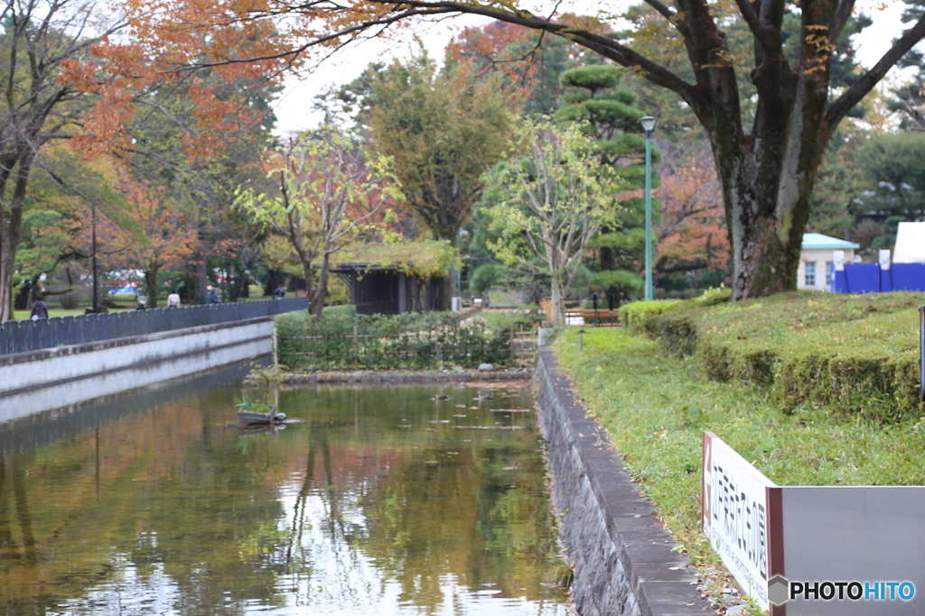江戸東京たてもの園　池１