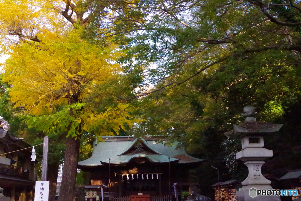 紅葉の谷保天満宮