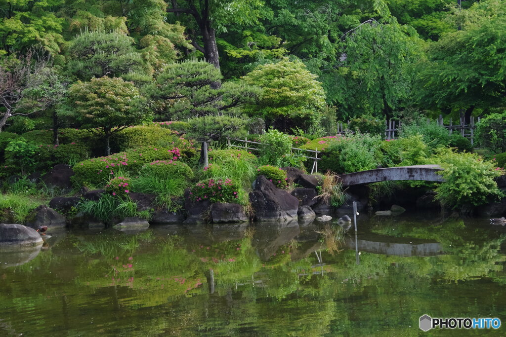 ツツジの日本庭園
