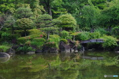 ツツジの日本庭園
