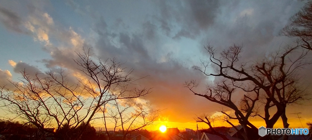 雲と枯木と夕日4