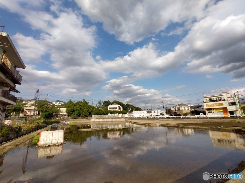 水田と雲8