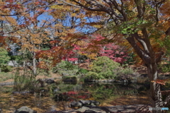 紅葉の日本庭園3