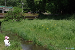 野川公園の新緑と少女