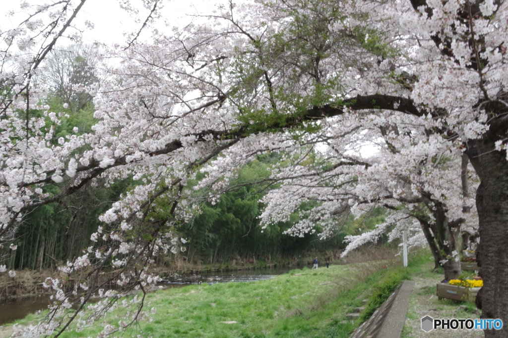 塩田耕地堤２