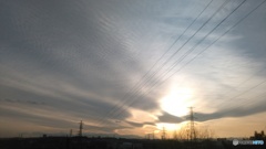 雲ガラケー８