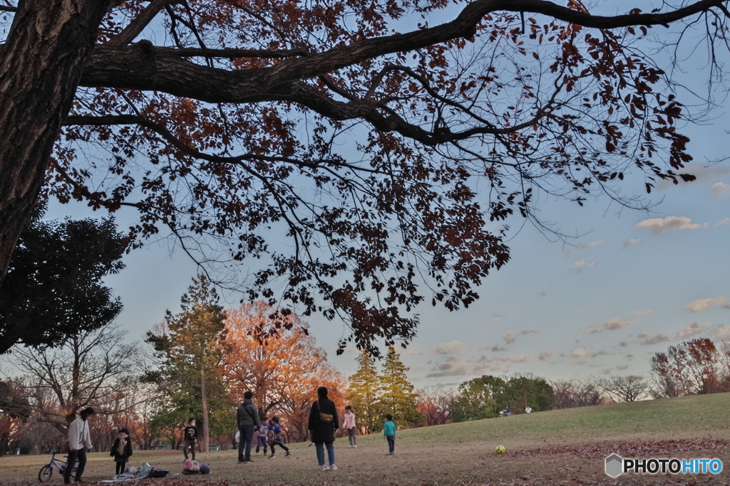 青空と紅葉の木の下の家族たち