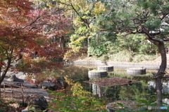 紅葉の日本庭園