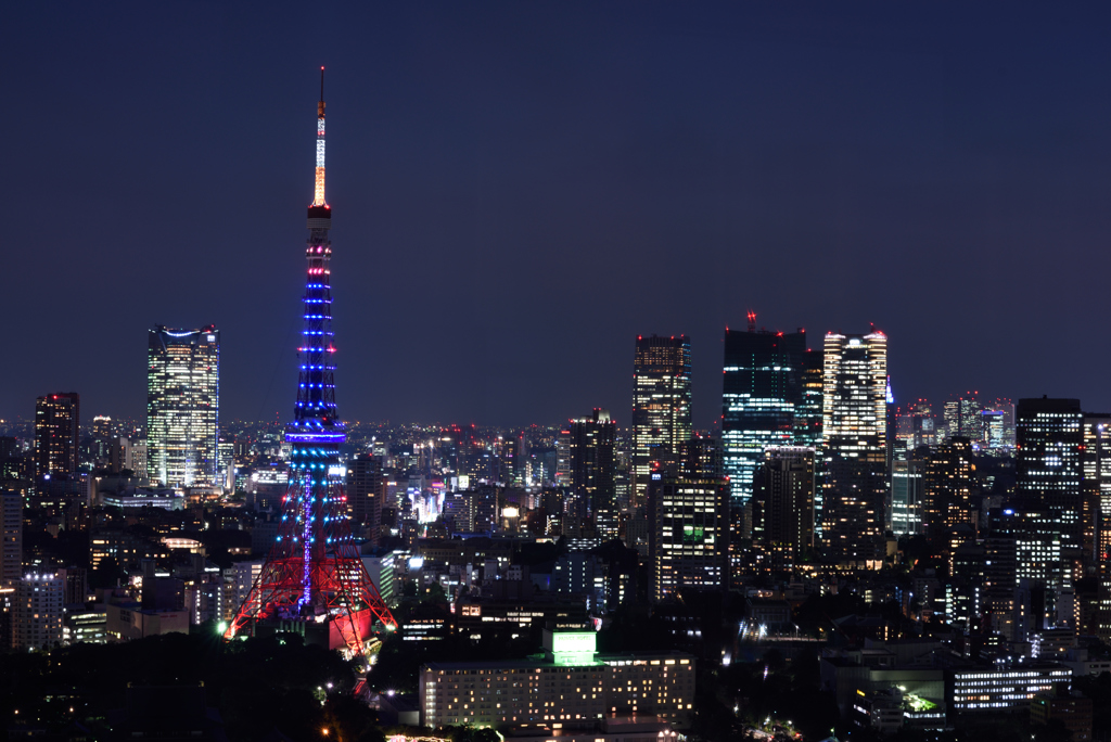 東京タワー2