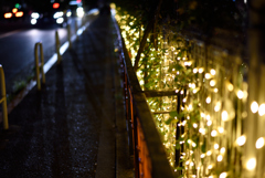 東京タワーの足元