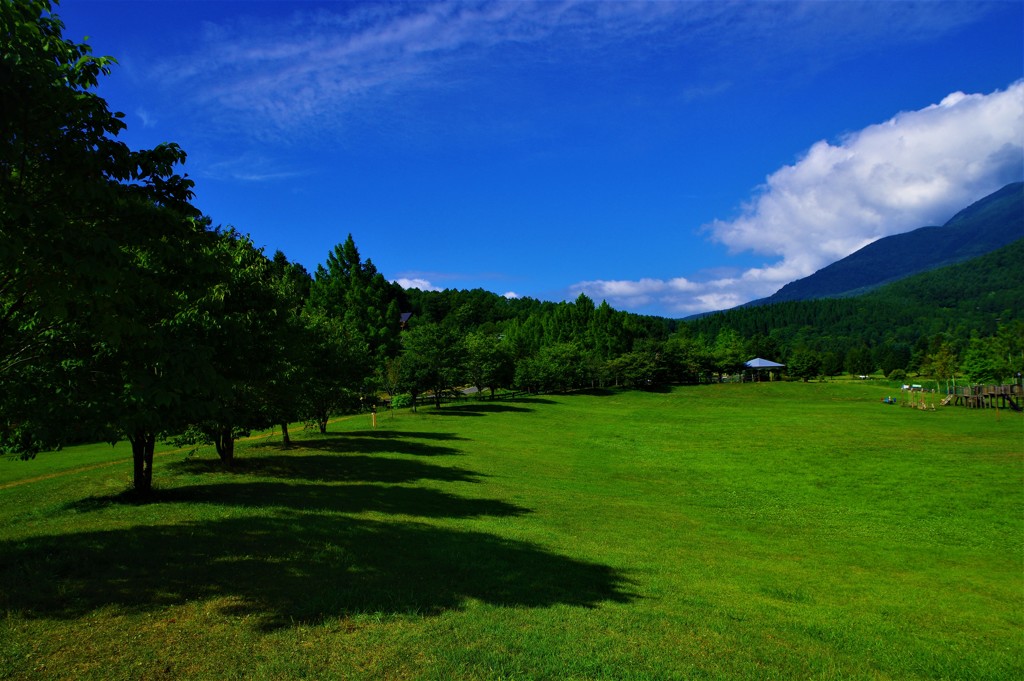 君と駆け抜けた高原♪。.:＊・゜